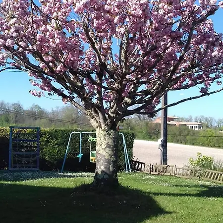 Lou Raspaillou 別荘