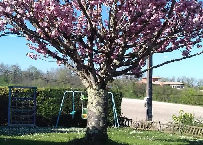 Lou Raspaillou Vakantiehuis